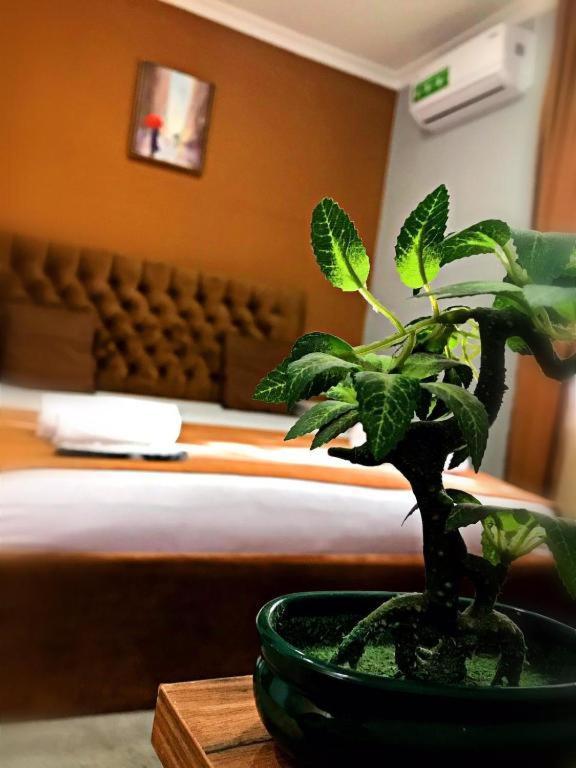 טביליסי Geo Hotel מראה חיצוני תמונה